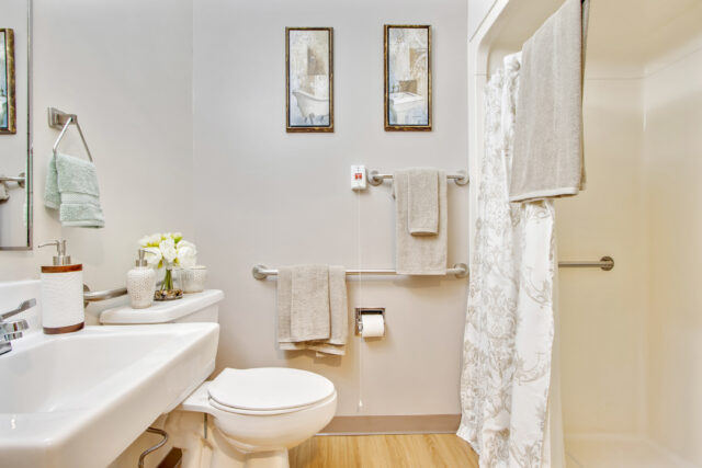 bathroom and shower view at a standard private room